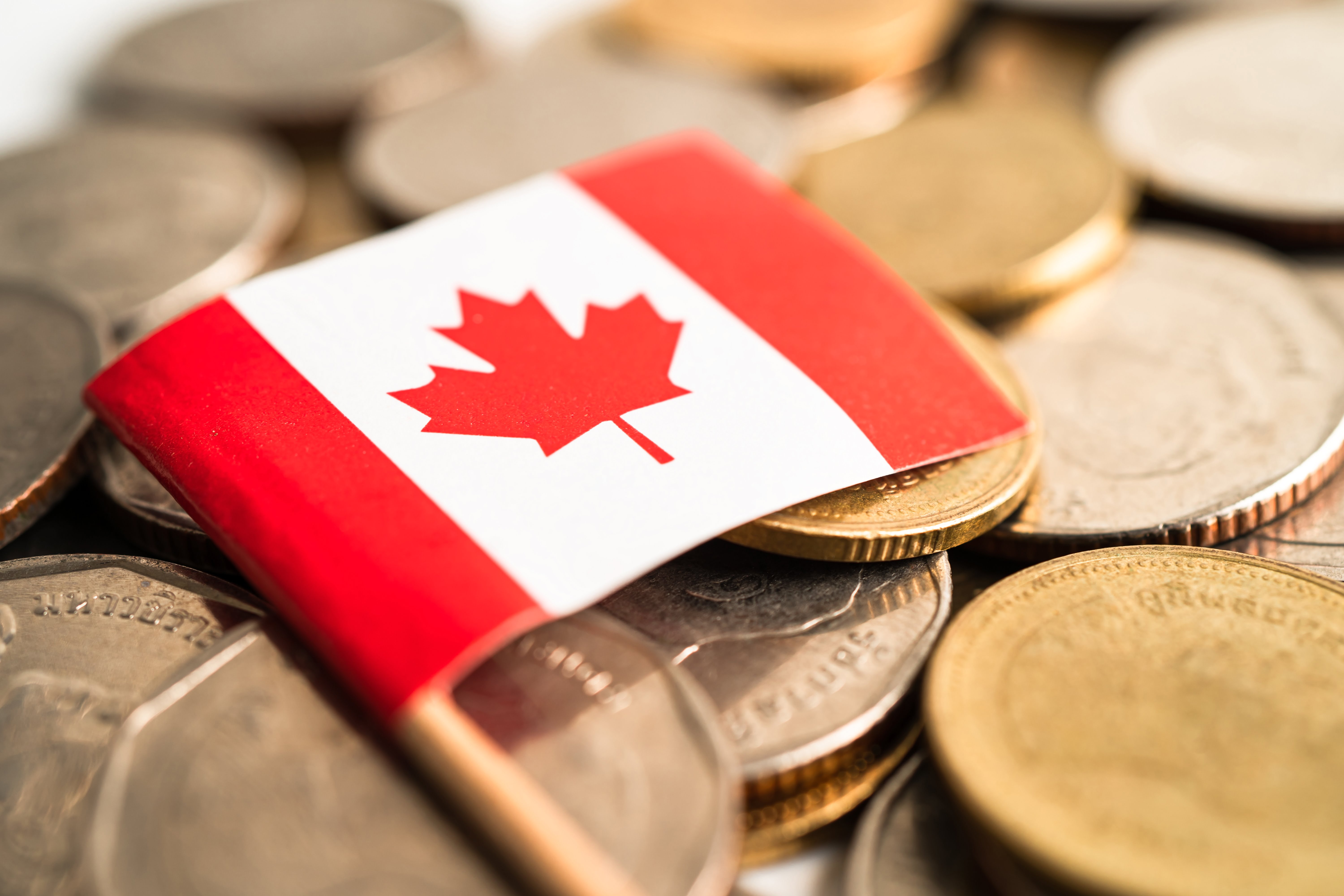 هزینه‌ های زندگی در کانادا چه قدر است؟