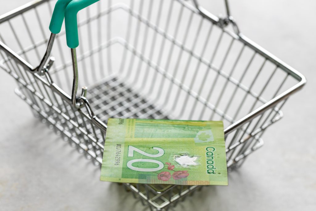 تصویری از سبد خرید به همراه دلار کانادا برای عنوان هزینه خورد و خوراک انتخاب شده است.