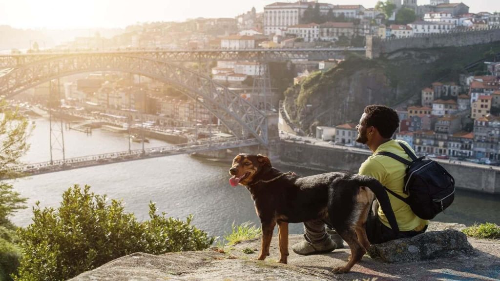 فردی سیاه پوست به همراه سگ خود بر فراز منظره‌ای در پرتغال که این تصویر برای عنوان مزایای اقامت پرتغال چیست انتخاب شده است.