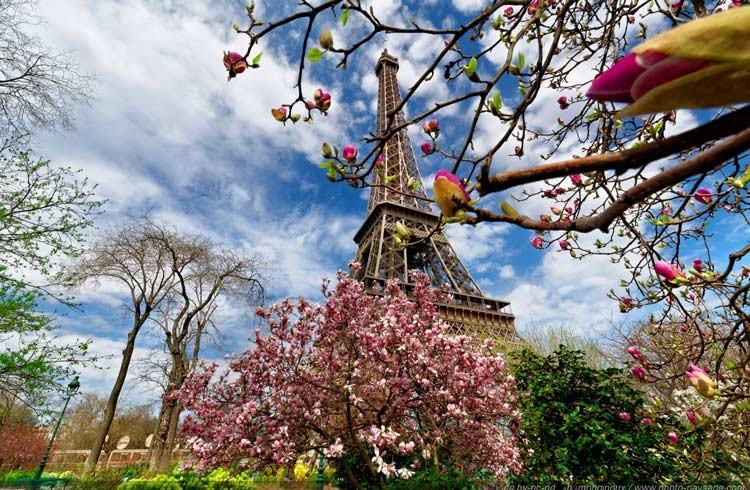 تصویری از زیبایی برج ایفل در فصل بهار برای عنوان چشم‌اندازهایی شگفت‌انگیز انتخاب شده است.